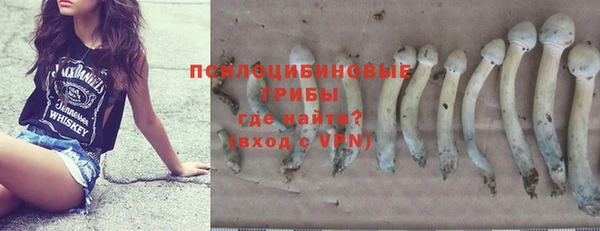 эйфоретик Пересвет