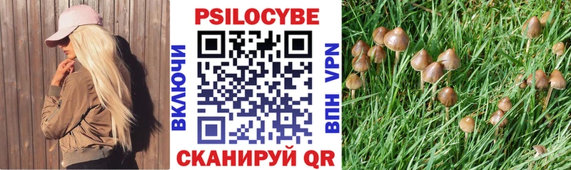 Псилоцибиновые грибы ЛСД  Шелехов 